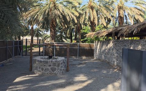 Mosquée Al-'Usbah (Bi'r Al-Hujaym) — Médine