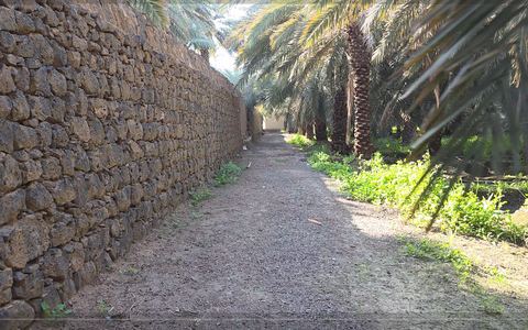 Chemin de la Hijra ROAD — Médine